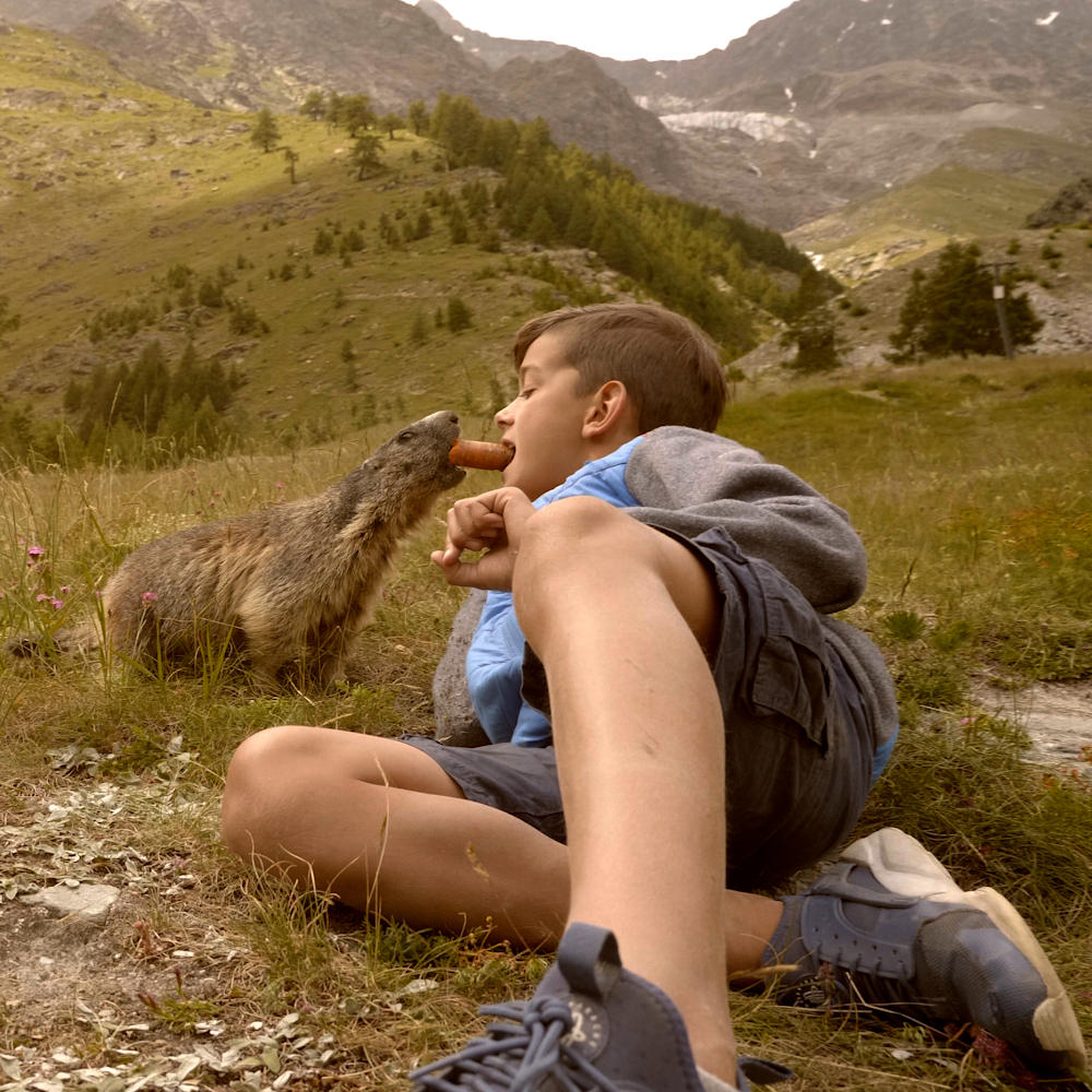 ferienwohnungen apartments atlas saas grund ansicht sommer